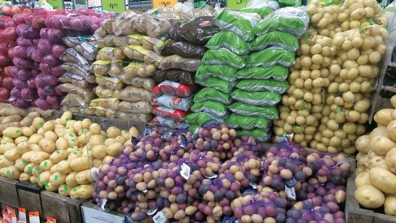 आलू की घरेलू खपत बढ़ाना 30 सितम्बर आलूसिज़ल १